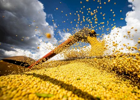 Agronegócio prevê alta dos custos de produção no próximo ano