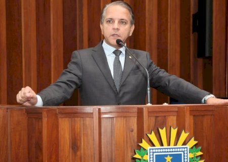 Parlamentares de MS lamentam morte de Sophia e cobram aplicação das leis