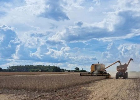 Colheita da soja supera 2 milhões de hectares em MS