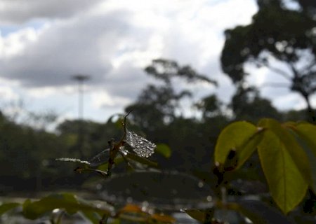 Previsão é de terça-feira com chuvas em Mato Grosso do Sul