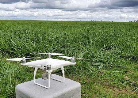 Drones garantem 66% de precisão no monitoramento de pastagens