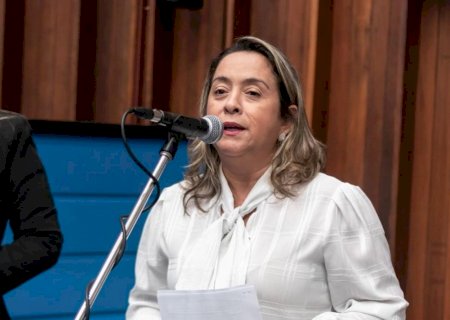 Tapa buracos na MS-162 e iluminação em Anel viário são solicitados por Lia Nogueira