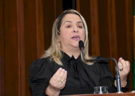 Drenagem, Pavimentação e troca de ponte são solicitadas por Lia Nogueira