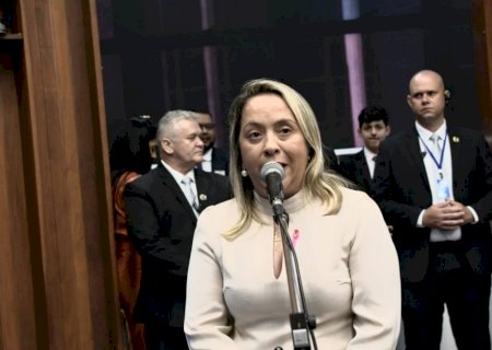 Segurança da BR-376 preocupa deputada Lia Nogueira