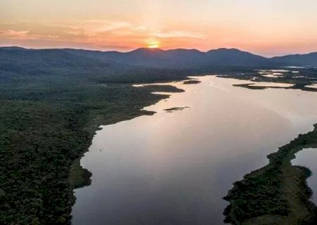 MS tem 4 dias para regulamentar a Lei do Pantanal