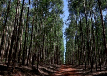 Governo vai à Belgica debater novas leis da União Europeia para o agro