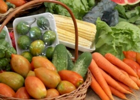 Governo lança edital de R$ 4 milhões para Programa de Aquisição de Alimento
