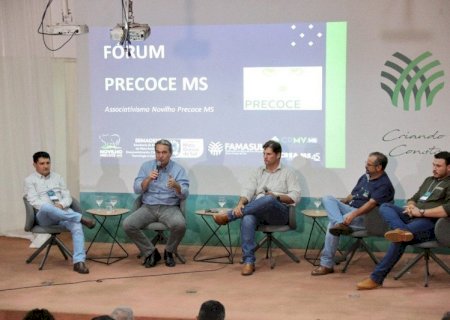 Novilhos precoces respondem por 40% do total de abates de bovinos nas indústrias