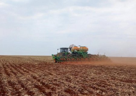 Plantio da soja alcança cerca de 16% da área total em Mato Grosso do Sul