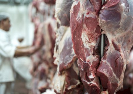 Carne e café devem pressionar preços do agro em 2025