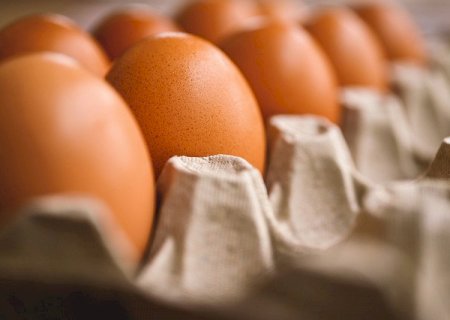 Alta no preço dos ovos é sazonal, afirma ABPA; saiba quando cotações devem cair