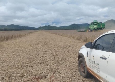 Colheita da safra de soja 2024/2025 alcançou 50,5% da área em Mato Grosso do Sul