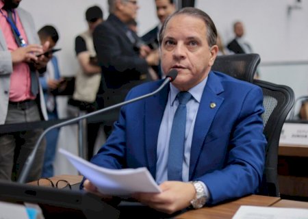 Coronel David propõe marco legal inédito para criação e comércio de aves exóticas em MS