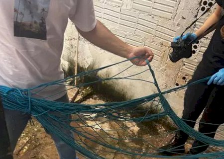 Menino de 10 anos é encontrado morto com pescoço enroscado em rede