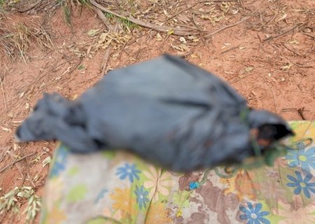 Corpo é encontrado enrolado em uma lona preta no Cerro 21