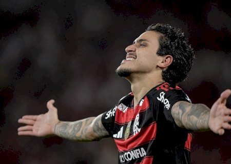 Lesão de Pedro, do Flamengo, é semelhante ao caso de Neto, que desfalca o Botafogo há dois meses