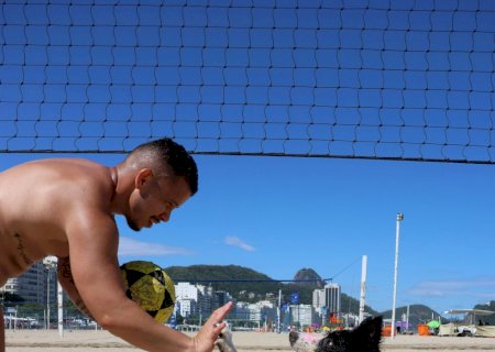 De brincadeira a fenômeno global: cachorro vira craque do futevôlei e já soma mais de 1 bilhão de views