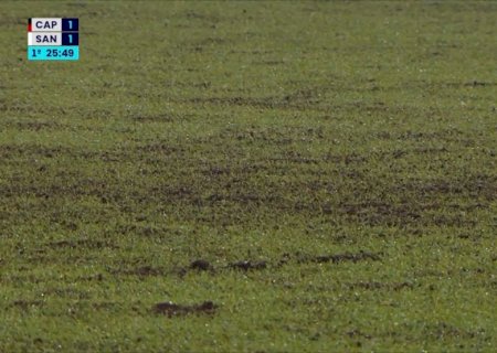 Desfalque no Santos, Neymar critica gramado do Athletico-PR: "Quase impossível praticar futebol"