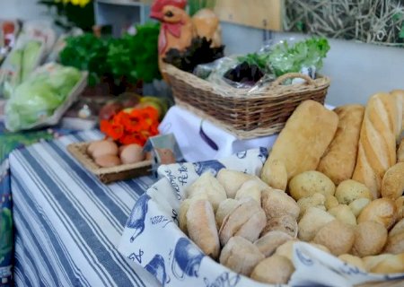 Indústria de alimentos e bebidas cresceu 8% em 2025