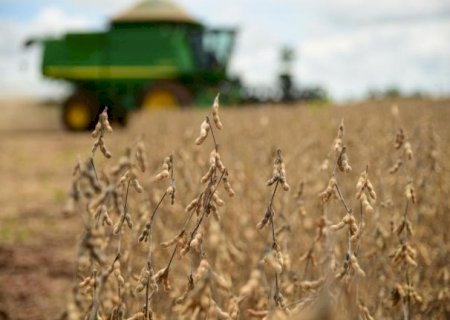 Mesmo com agro endividado, Mato Grosso do Sul mant&eacute;m inadimpl&ecirc;ncia baixa no FCO