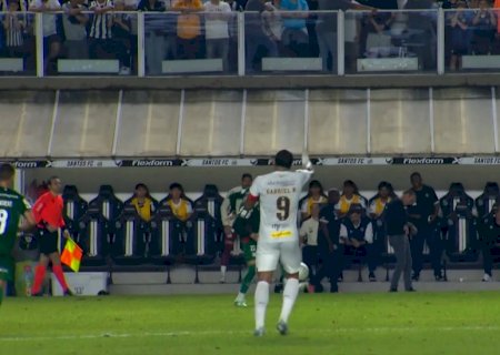 Santos x Palmeiras: Cuca e Gabigol discutem na saída para o intervalo, mas voltam abraçados; vídeo