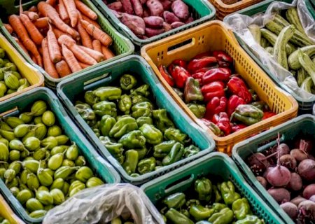 Painel vai monitorar situação alimentar e nutricional nos municípios de MS